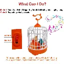 Talking Bird Toy 3.webp