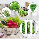 Fresh Herb Keeper 5.webp