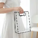 Transparent Multipurpose Gift Carry Bag  2.webp