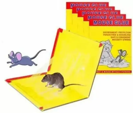 Rat/Mouse Glue Trap Pad