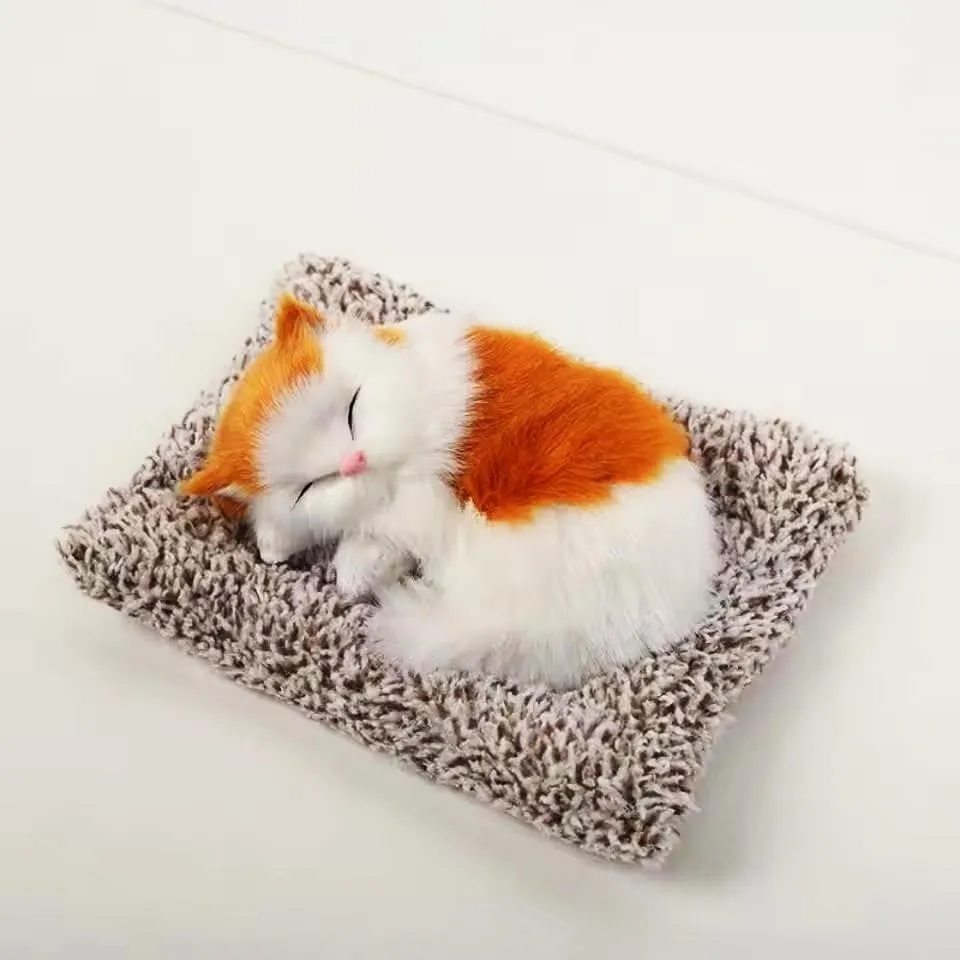 [KBS-1490] Sleeping Cat 