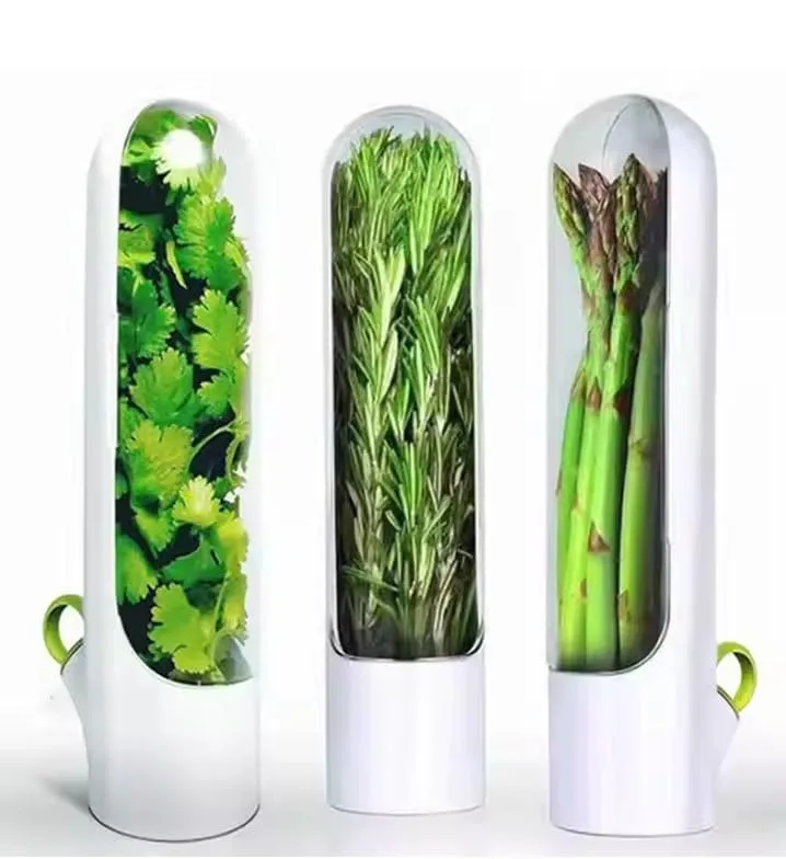 [KBS-1565] Fresh Herb Keeper | Airtight BPA-Free Herb Storage Container for Refrigerator | Transparent Design for Coriander, Mint & Parsley (Pack of 1)