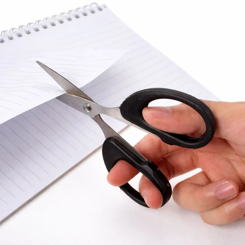 Stainless Steel Scissors (160mm, 6.5 inch)