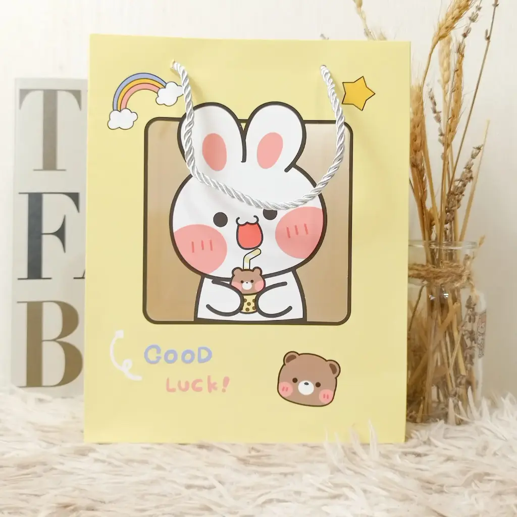 Carry Bag (Small, Premium Quality)