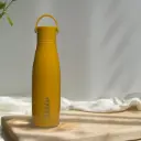 Dubblin Vacuum Bottle (KIWI 700)