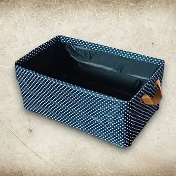 [KBS-218] 26L STORAGE ORGANIZER (Heavy, Blue)