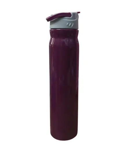 [KBS-739] Dubblin Vacuum Bottle (REGAL 650)